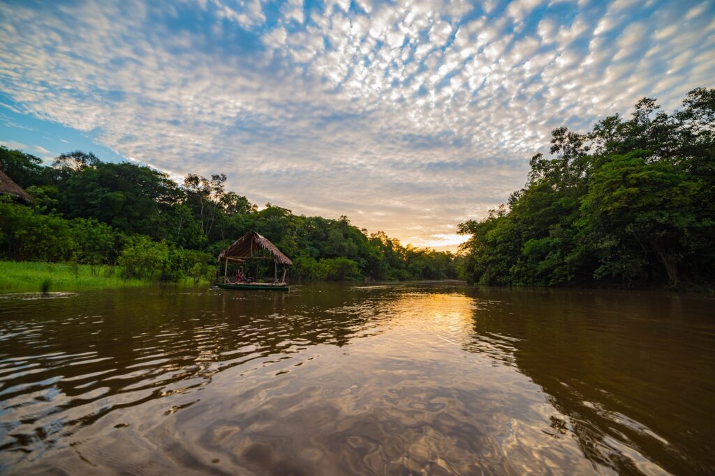 Red Interamericana de Academias de Ciencias (IANAS) crea iniciativa a favor de la Amazonía