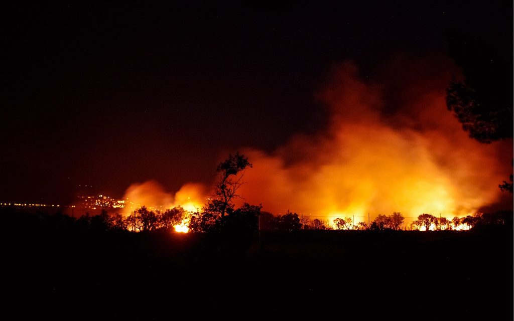Incendios forestales en Venezuela: mitos y realidades