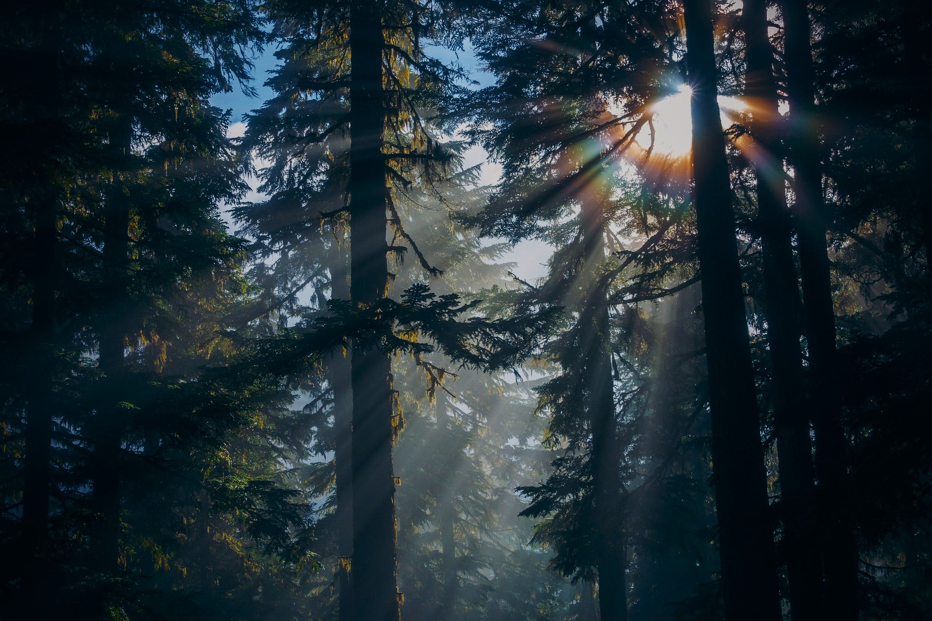 Aciertos y desatinos de la COP30