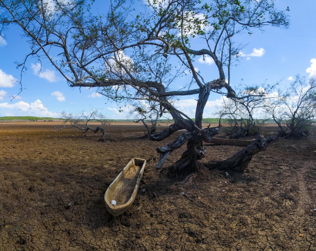 ACFIMAN presenta Segundo Reporte Académico de Cambio Climático (DRACC) 2025