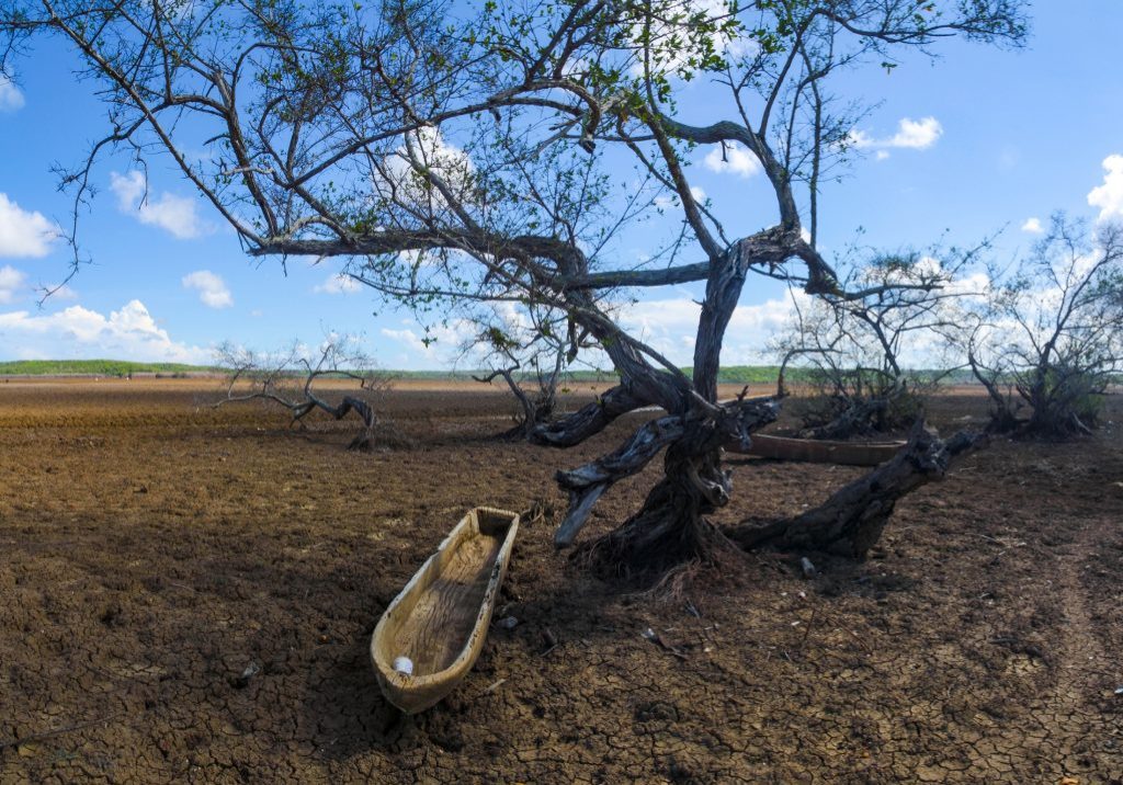 ACFIMAN presenta Segundo Reporte Académico de Cambio Climático (DRACC) 2025