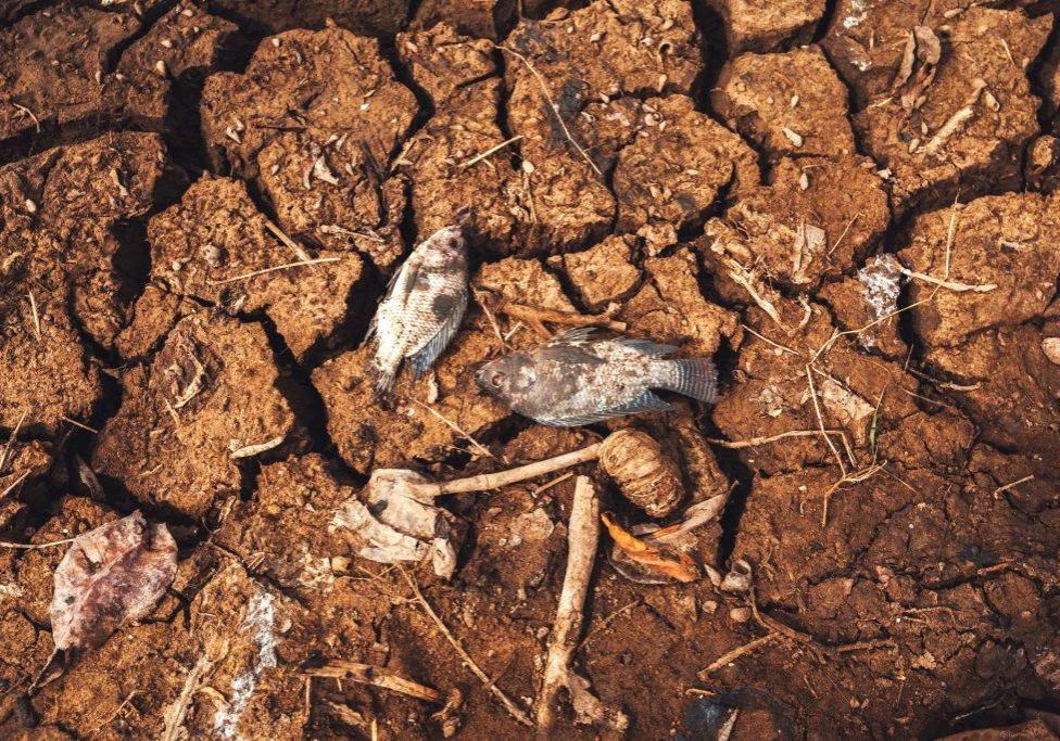 El Niño es inevitable, pero sus impactos son mitigables