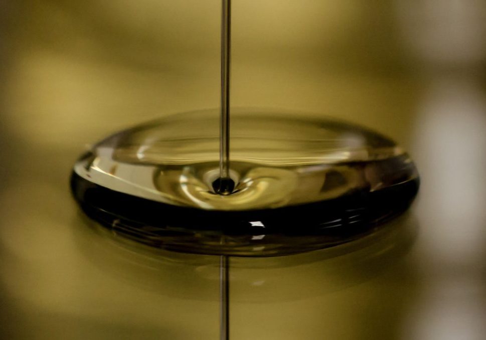 Dos obras sobre geoquímica orgánica entran al catálogo editorial de la ACFIMAN