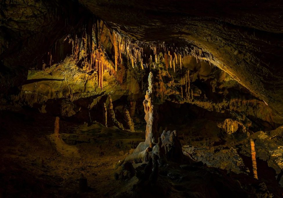 La mayoría de los aspirantes a miembro de la Red de Jóvenes Investigadores de Venezuela tienen doctorado